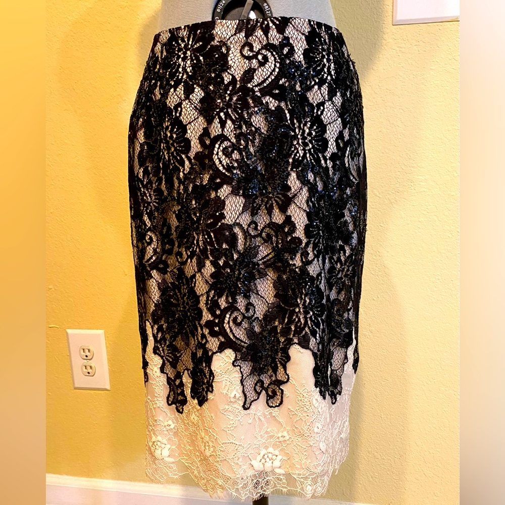 Ann Taylor Lace Pencil Skirt